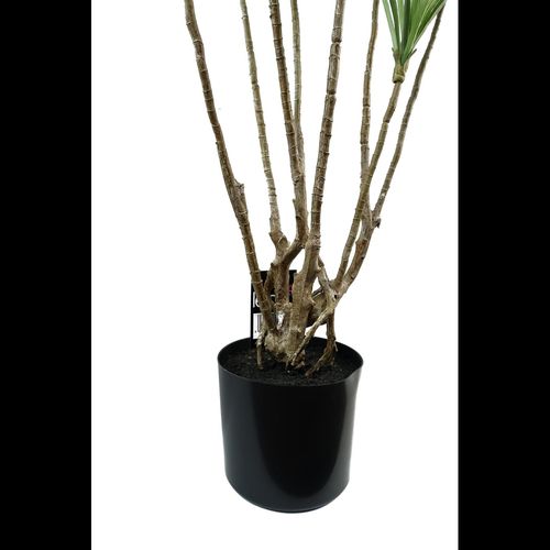 Realistic 125cm Dragon Tree Dracaena – Stunning Artificial Plant for Any Space - plants - express.com