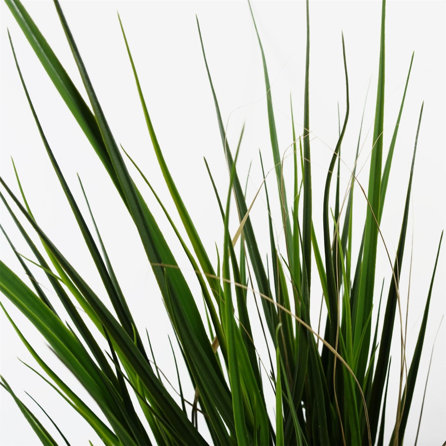 Realistic 130cm UV - Resistant Artificial Grass for Stunning Outdoor Decor - plants - express.com