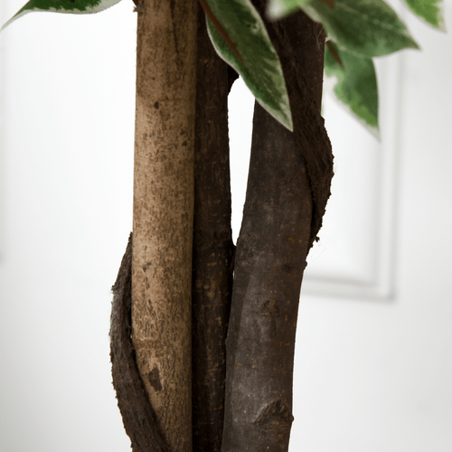 Realistic 160cm Artificial Ficus Tree with Pot - Low - Maintenance Decor - plants - express.com