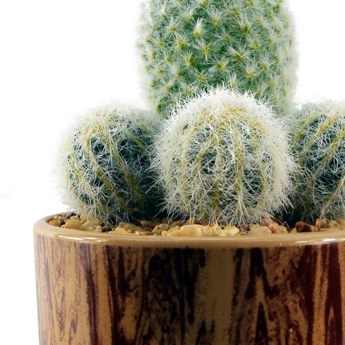 Realistic 20cm Artificial Cactus in Chic Ceramic Planter – No Prickles! - plants - express.com