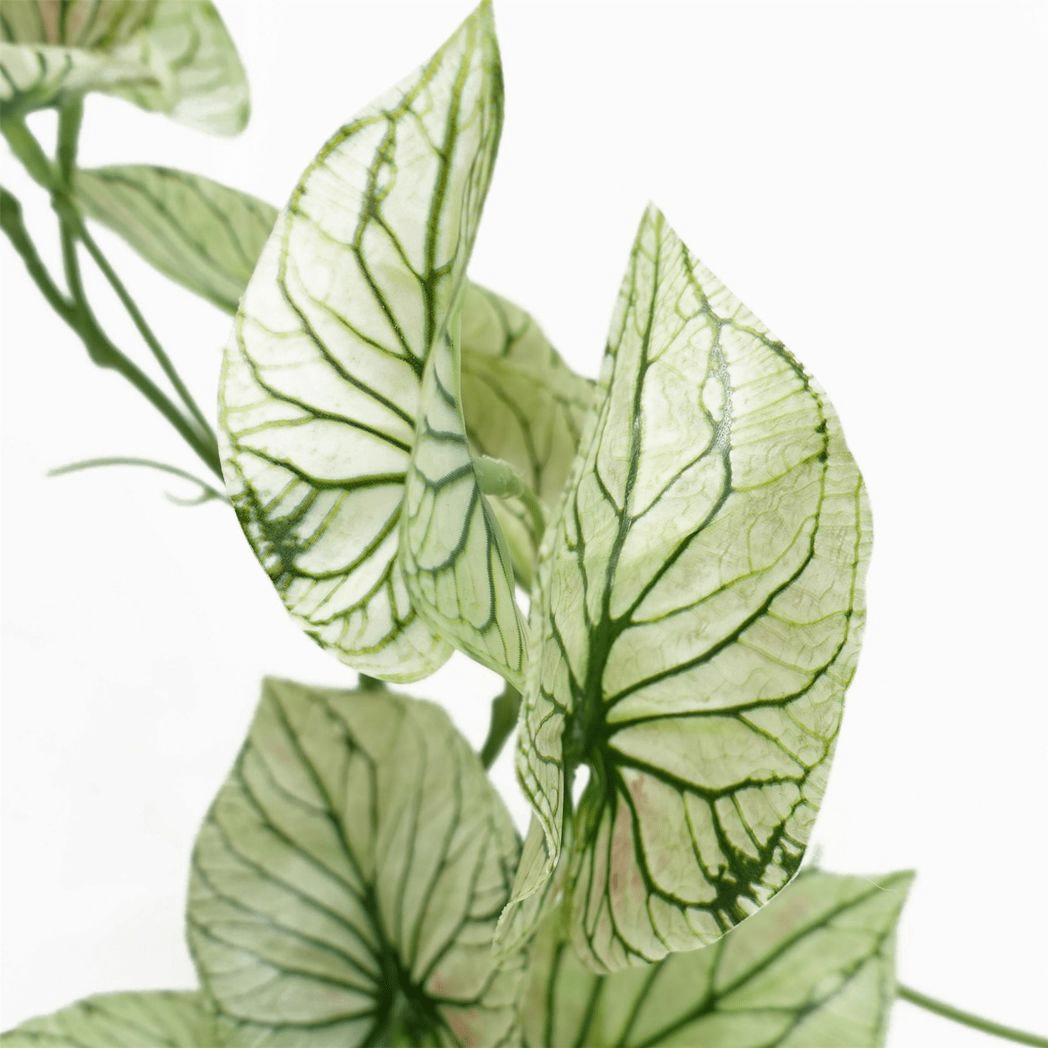 Realistic 30cm Faux Alocasia Plant in Elegant White Decorative Pot - plants - express.com