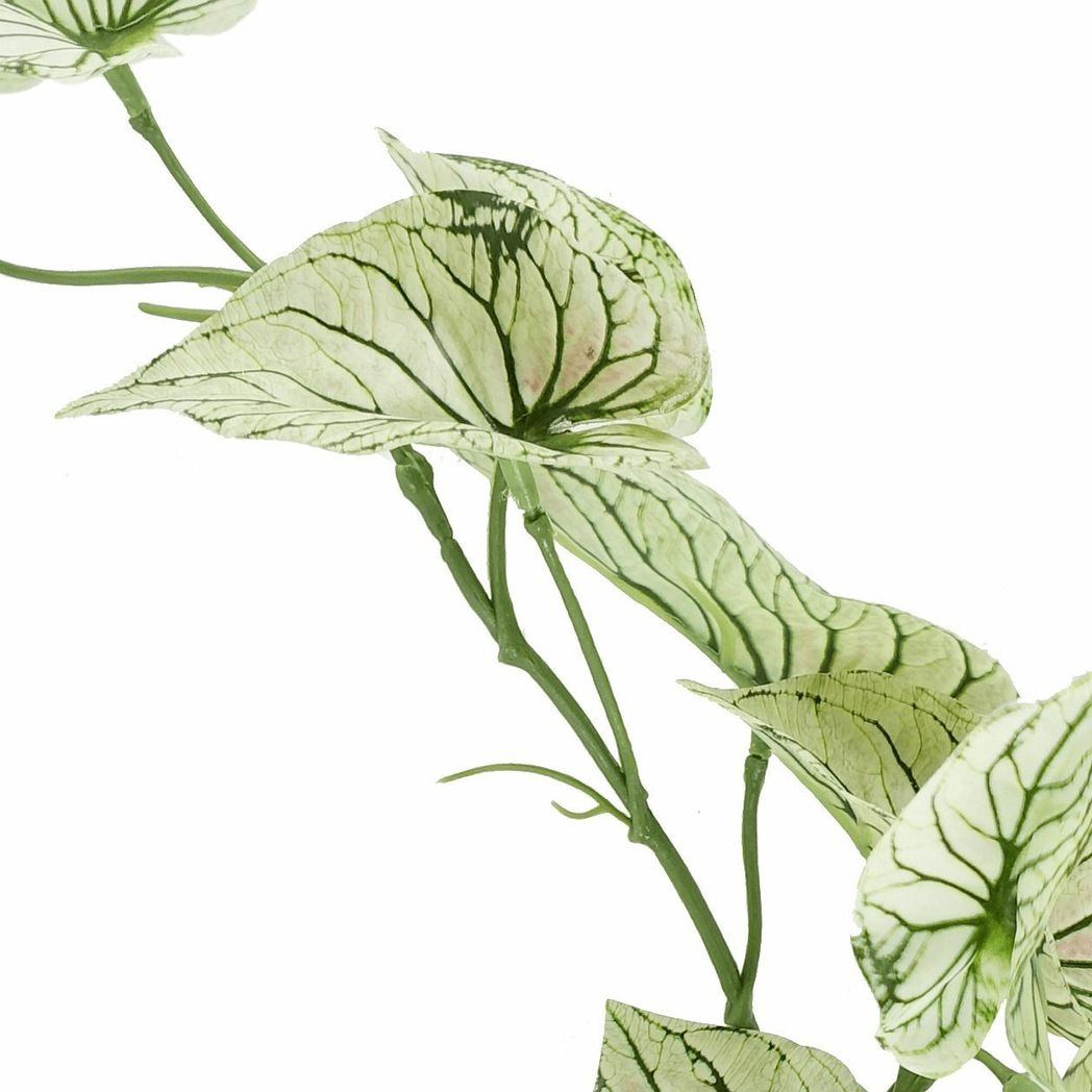 Realistic 30cm Faux Alocasia Plant in Elegant White Decorative Pot - plants - express.com