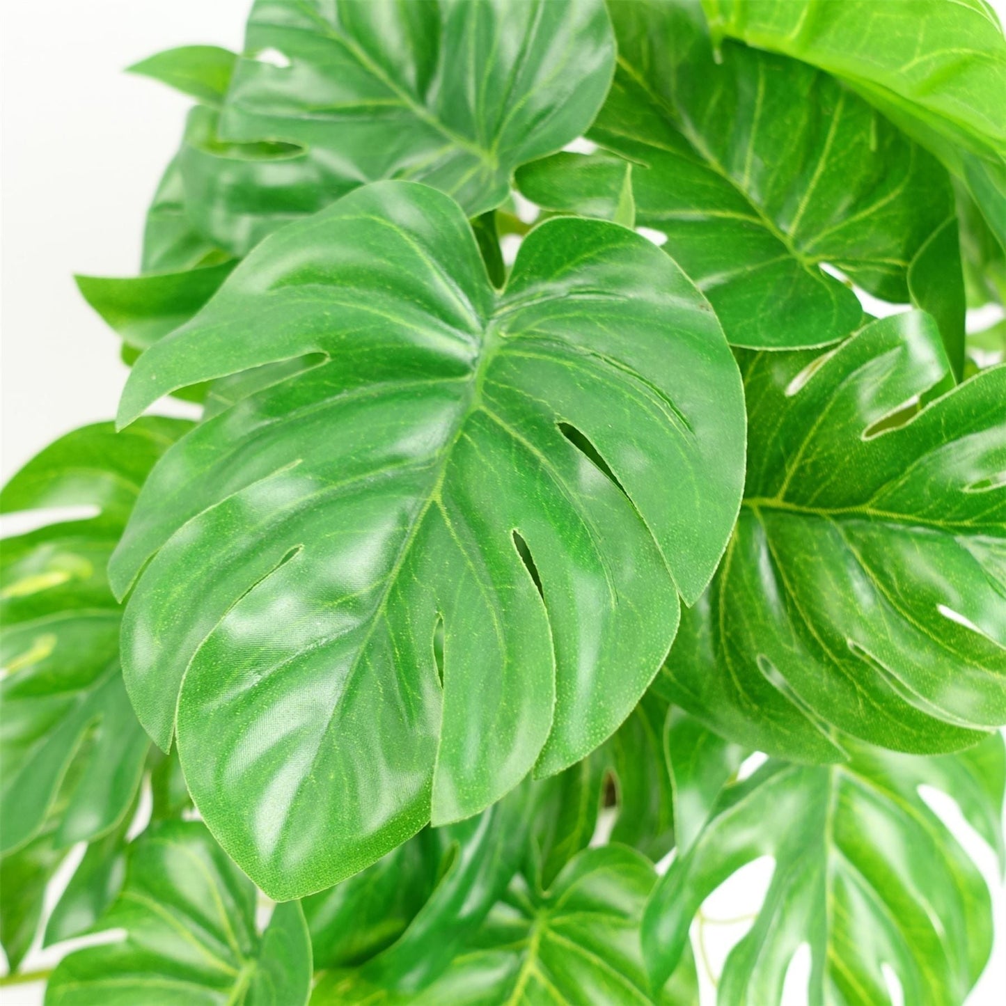 Realistic 30cm Potted Monstera Plant - No Maintenance, Perfect Indoor Decor! - plants - express.com