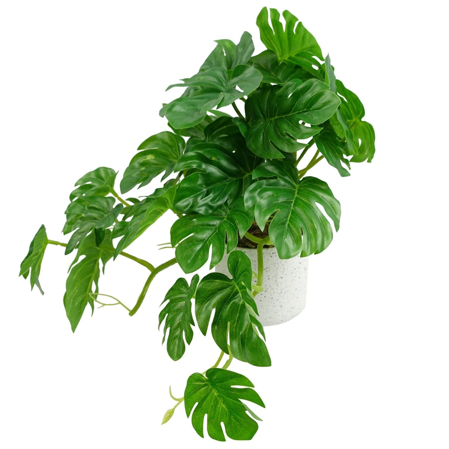 Realistic 30cm Potted Monstera Plant - No Maintenance, Perfect Indoor Decor! - plants - express.com