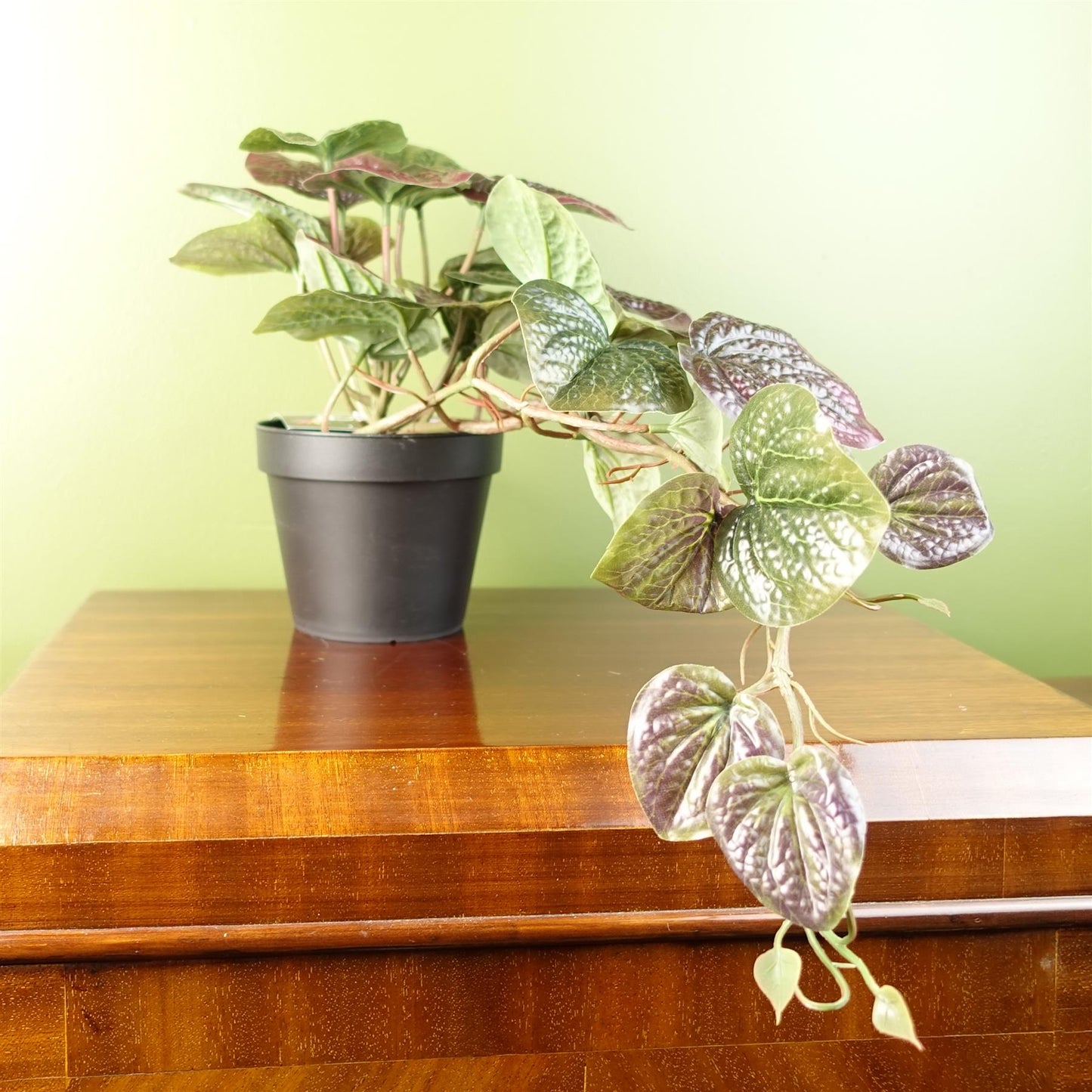 Realistic 35cm Purple Pothos Plant in Pot - Lush Trailing Beauty - plants - express.com