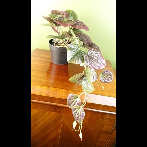 Realistic 35cm Purple Pothos Plant in Pot - Lush Trailing Beauty - plants - express.com