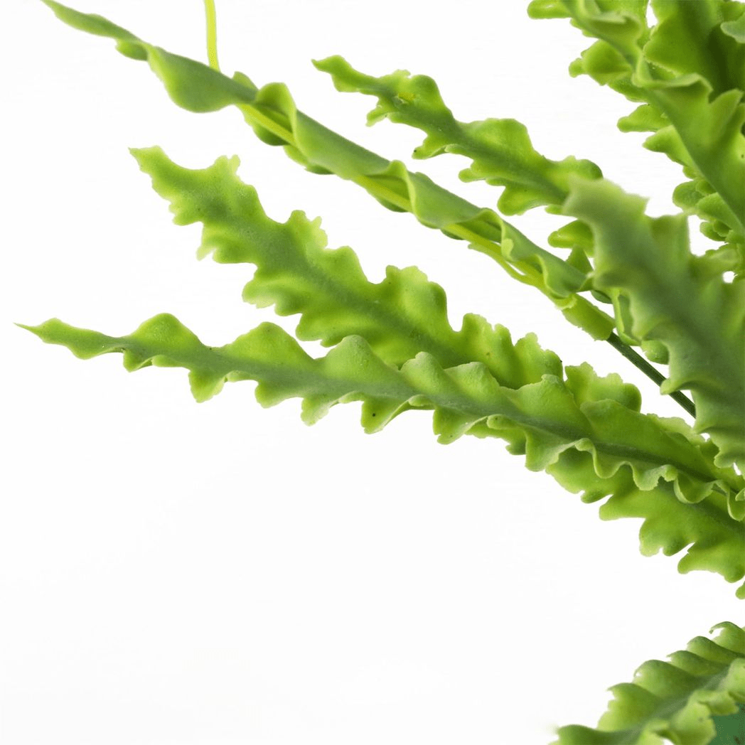 Realistic 40cm Artificial Crocodile Fern - Perfect Low - Light Decor! - plants - express.com