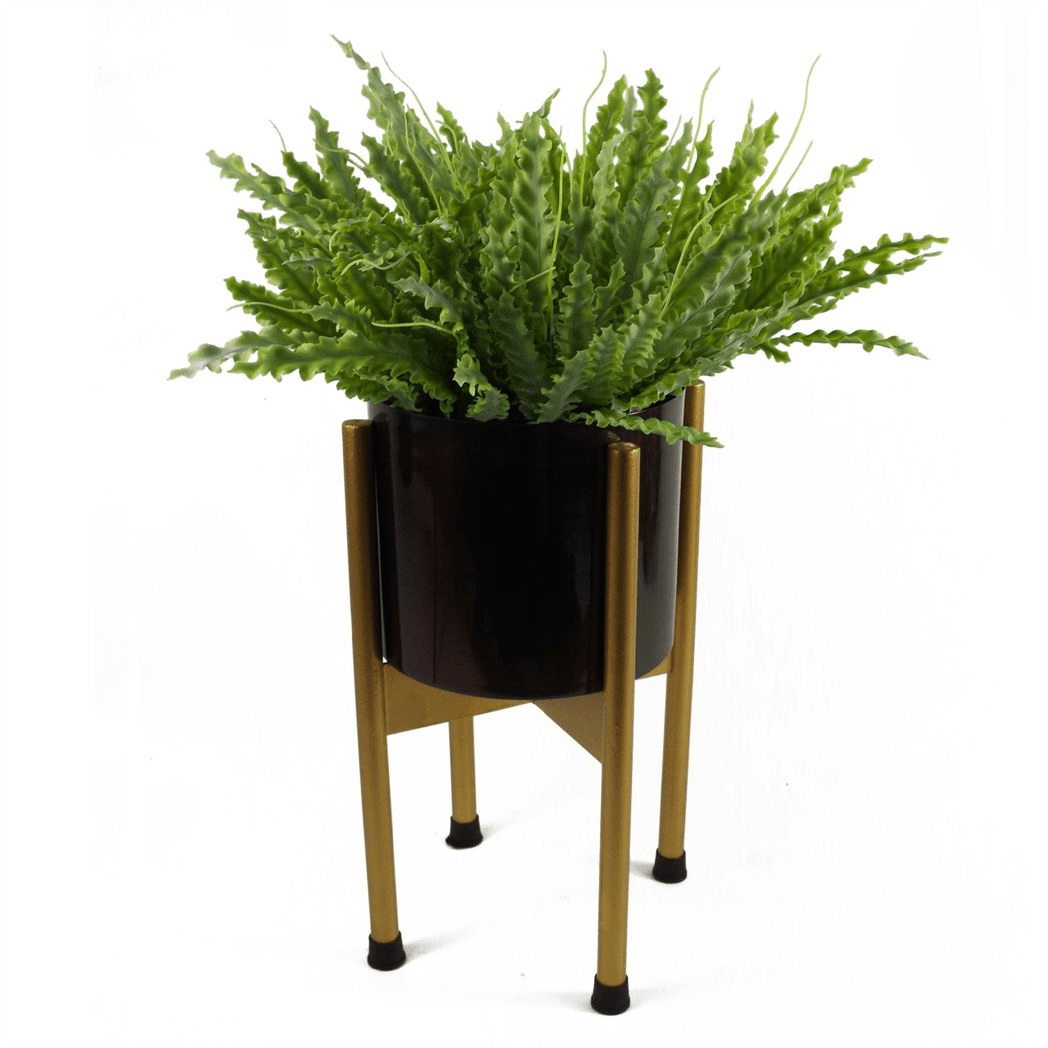 Realistic 40cm Artificial Crocodile Fern - Perfect Low - Light Decor! - plants - express.com