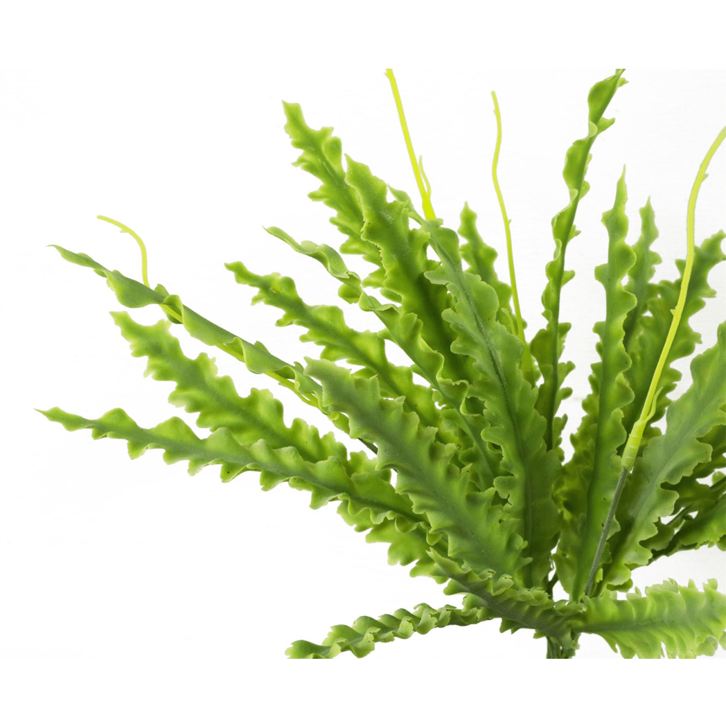 Realistic 40cm Artificial Crocodile Fern - Perfect Low - Light Decor! - plants - express.com