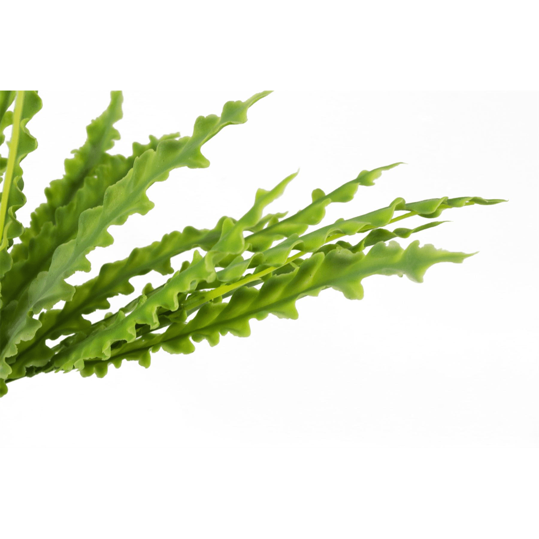 Realistic 40cm Artificial Crocodile Fern - Perfect Low - Light Decor! - plants - express.com