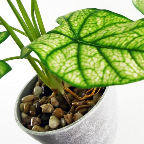 Realistic 40cm Artificial Taro Plant in Stylish Grey Decorative Planter - plants - express.com