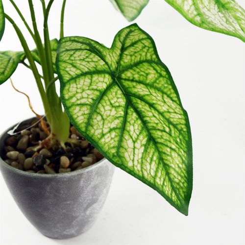 Realistic 40cm Artificial Taro Plant in Stylish Grey Decorative Planter - plants - express.com