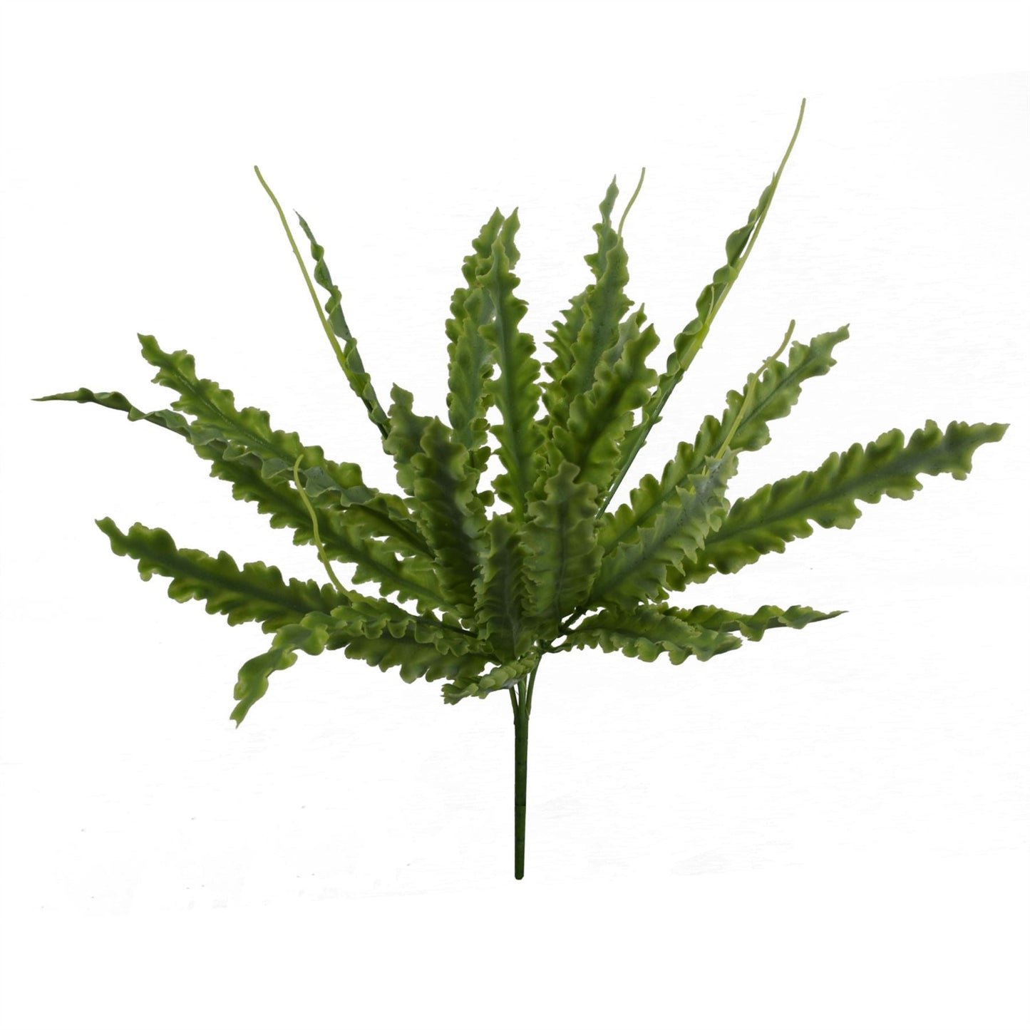 Realistic 40cm Crocodile Fern - No Maintenance, Perfect for Any Space! - plants - express.com