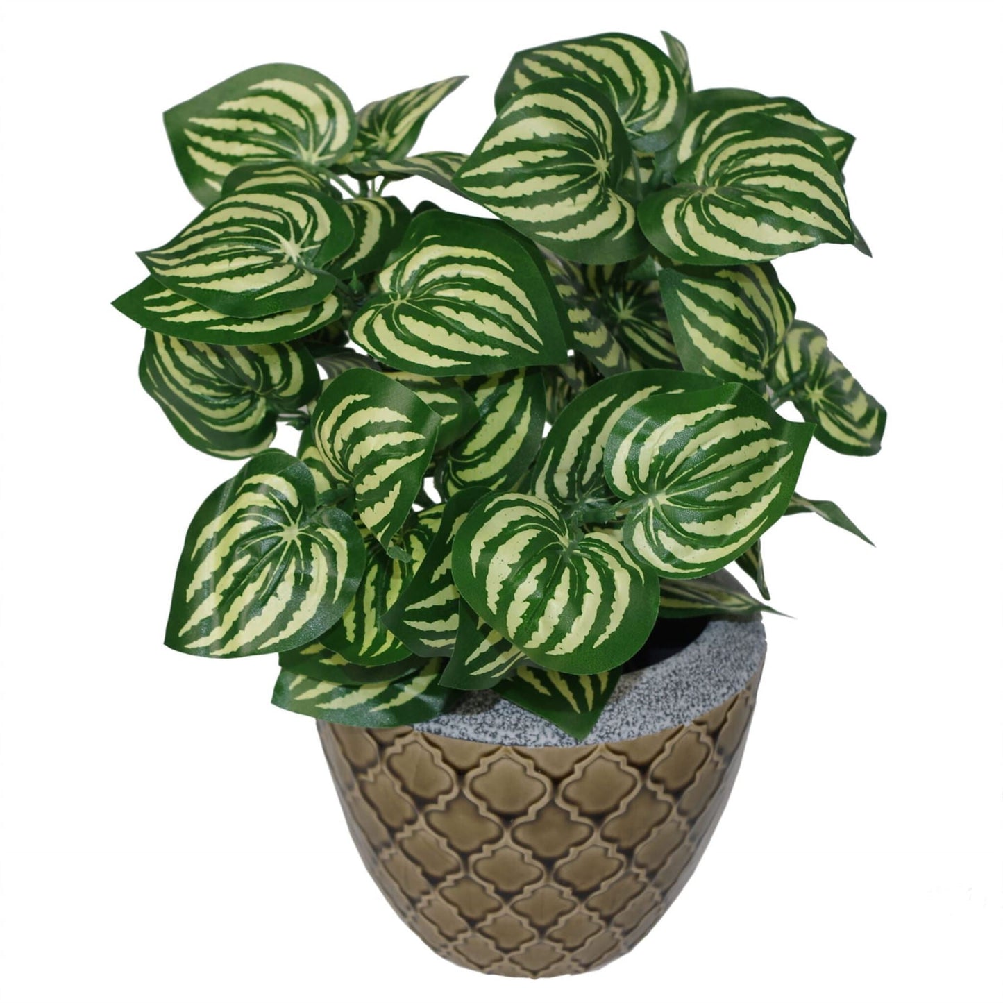 Realistic 40cm Watermelon Leaf Plant - Lush & Low - Maintenance Decor - plants - express.com