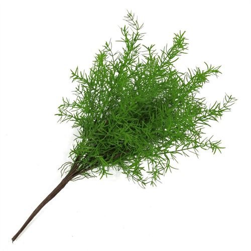 Realistic 45cm Artificial Asparagus Fern - Perfect for Low Light Decor - plants - express.com