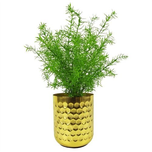 Realistic 45cm Artificial Asparagus Fern - Perfect for Low Light Decor - plants - express.com