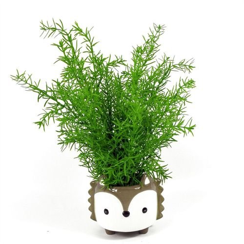 Realistic 45cm Artificial Asparagus Fern - Perfect for Low Light Decor - plants - express.com