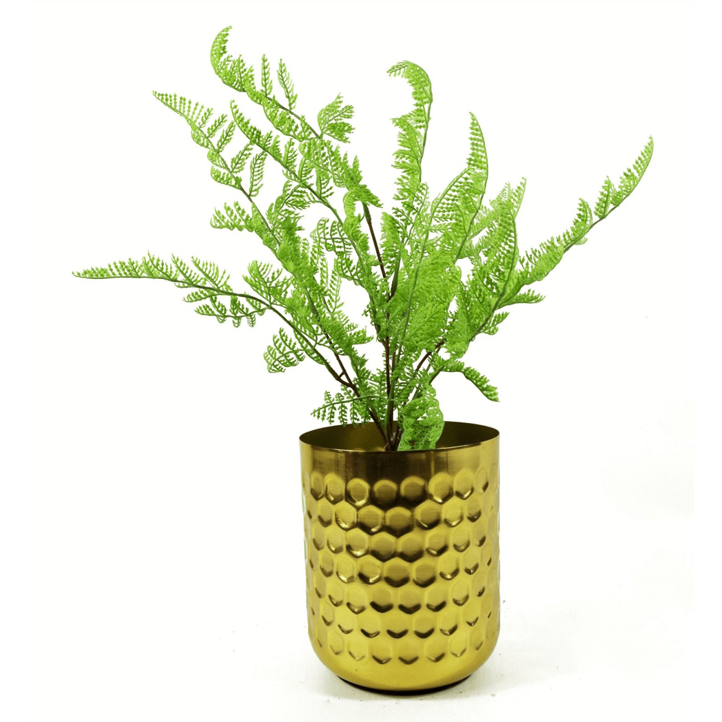 Realistic 50cm Dark Green Southern Wood Fern Bush - No Maintenance Required! - plants - express.com