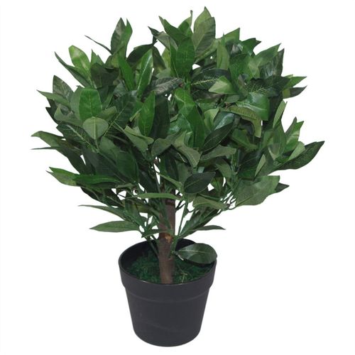 Realistic 50cm Dwarf Bay Tree Topiary Bushes - Perfect for Effortless Elegance! - plants - express.com