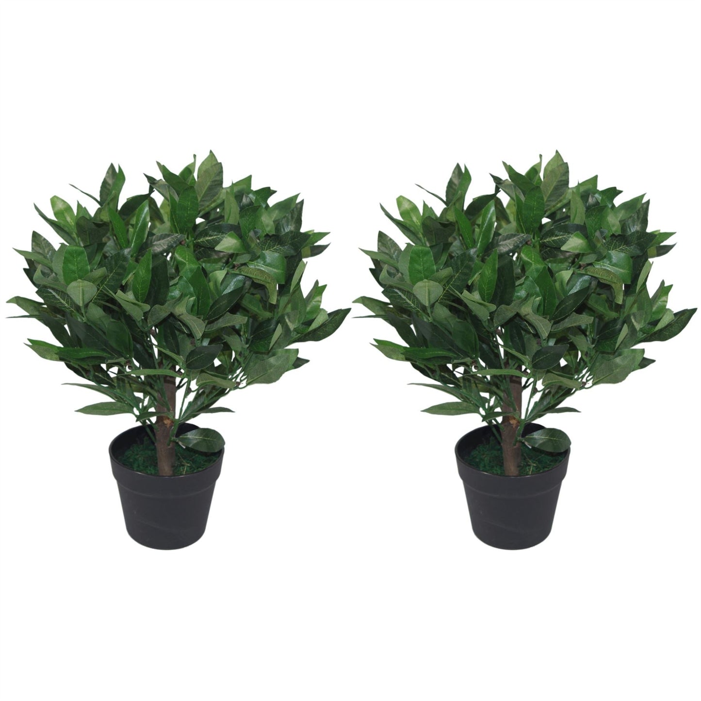 Realistic 50cm Dwarf Bay Tree Topiary Bushes - Perfect for Effortless Elegance! - plants - express.com