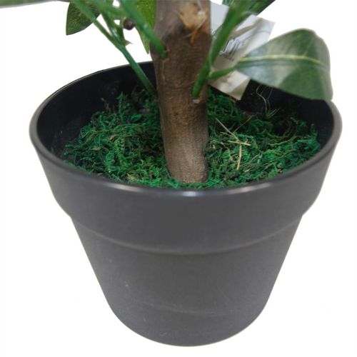 Realistic 50cm Dwarf Bay Tree Topiary Bushes - Perfect for Effortless Elegance! - plants - express.com