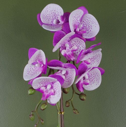 Realistic 50cm Purple/White Phalaenopsis Orchid in Elegant Gold Honeycomb Pot - plants - express.com