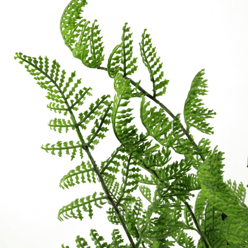Realistic 50cm Southern Wood Fern Bush - Effortless Greenery for Any Space - plants - express.com