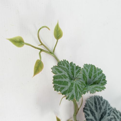 Realistic 50cm Trailing Begonia Plant – Perfect for Stylish Displays! - plants - express.com