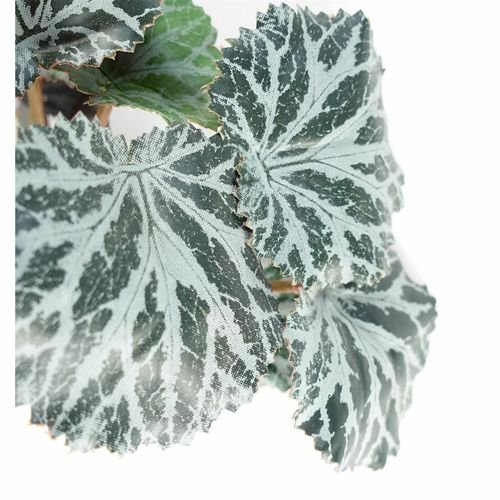 Realistic 50cm Trailing Begonia Plant – Perfect for Stylish Displays! - plants - express.com