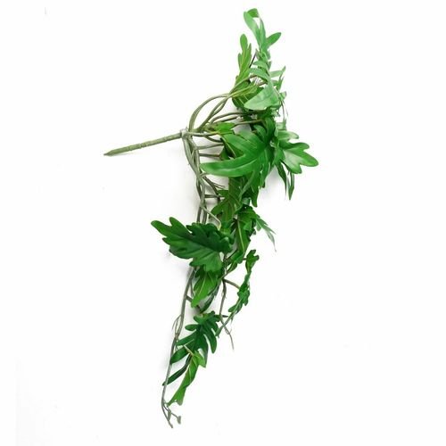 Realistic 50cm Trailing Philodendron Plant - Lush Green Leaves, Bare Stem - plants - express.com