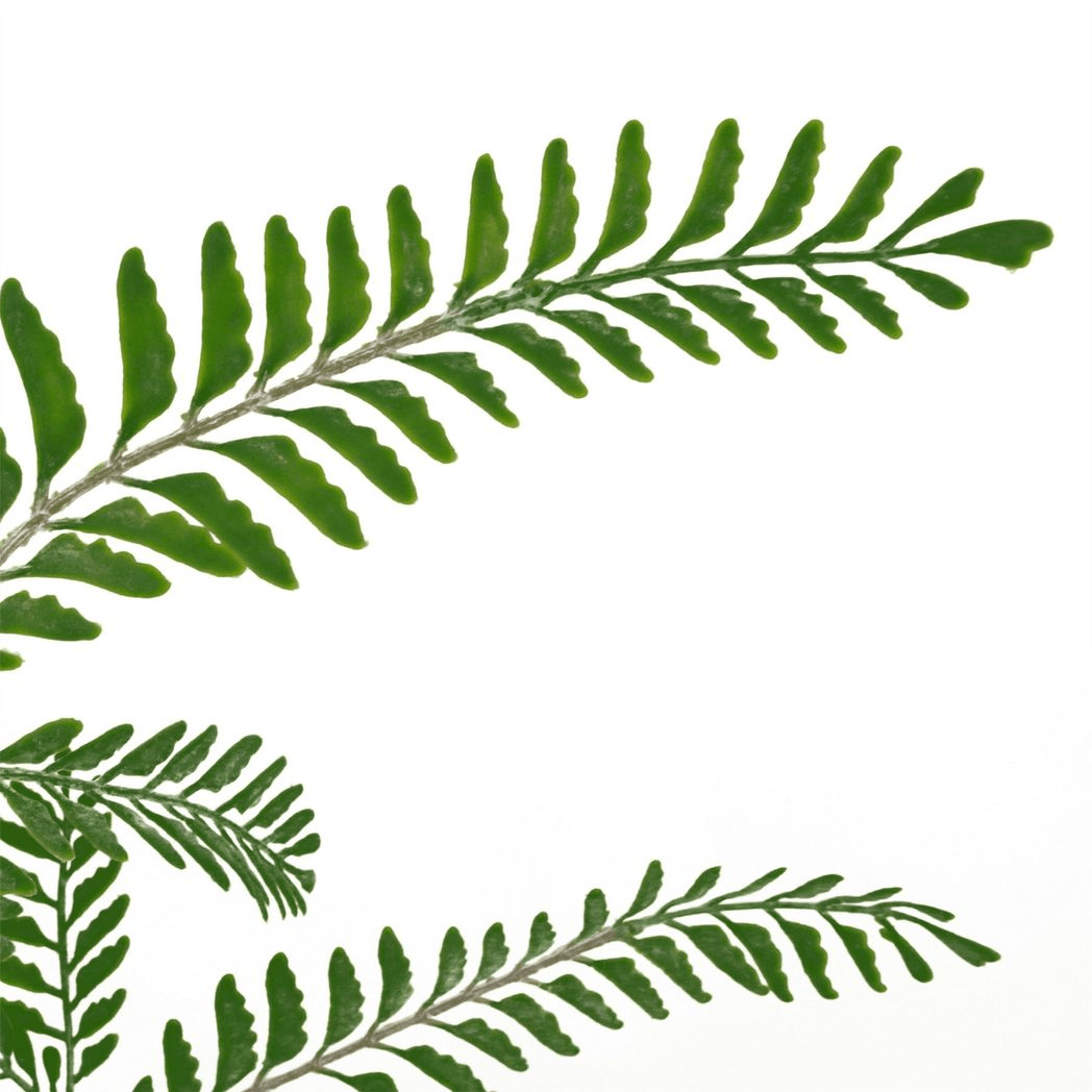 Realistic 55cm Himalayan Maidenhair Fern Bush - Lush Dark Green Decor - plants - express.com