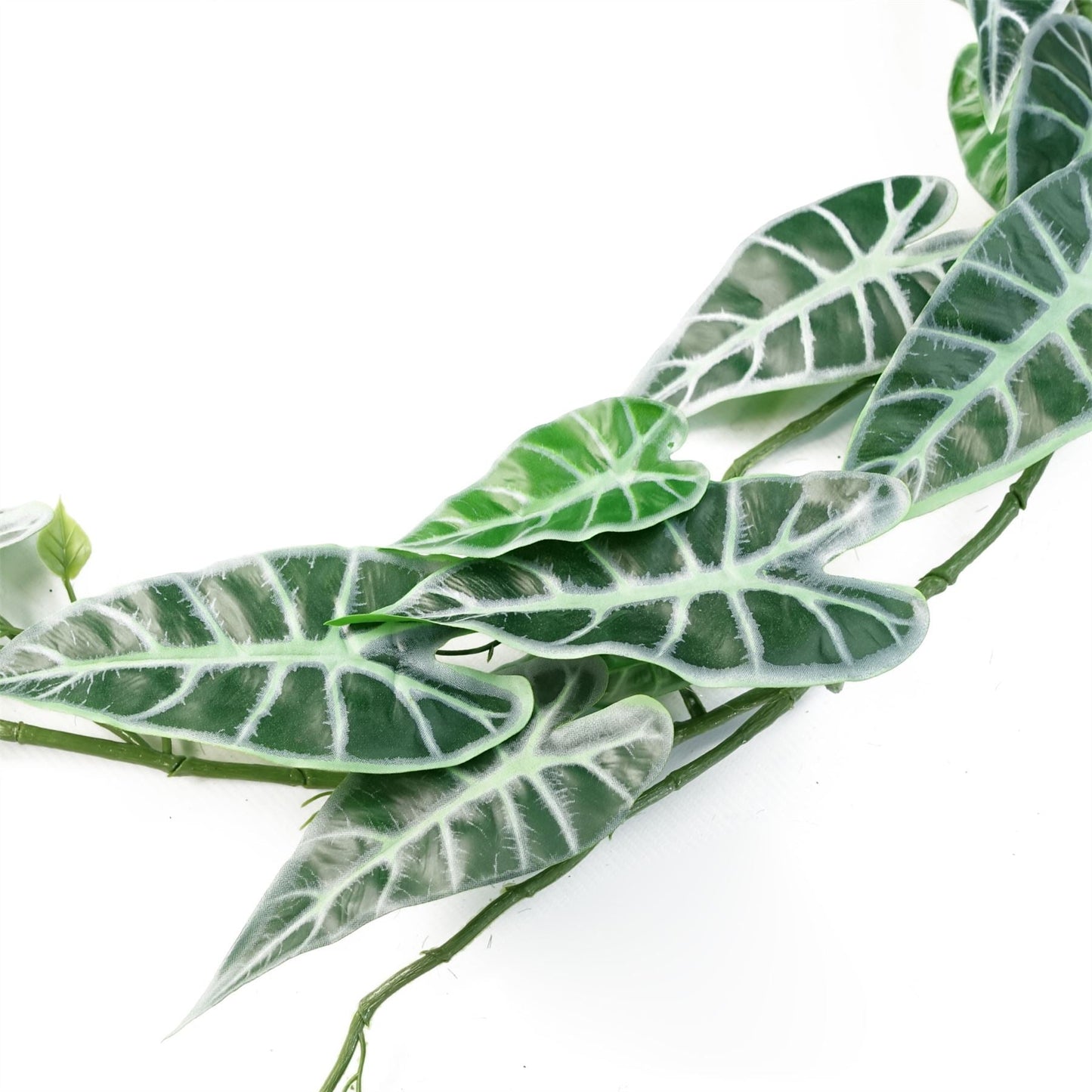 Realistic 6 - Pack 180cm Amazonica Trailing Plants for Stunning Indoor Décor - plants - express.com