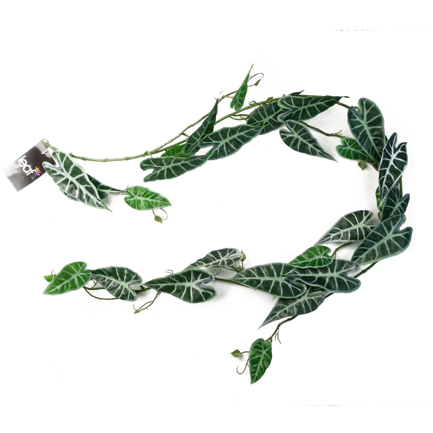 Realistic 6 - Pack 180cm Amazonica Trailing Plants for Stunning Indoor Décor - plants - express.com