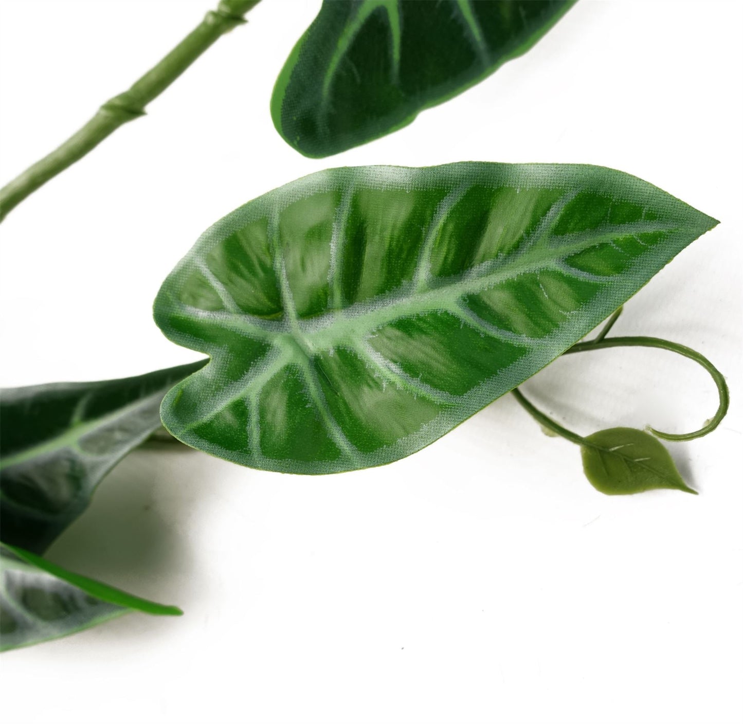Realistic 6 - Pack 180cm Amazonica Trailing Plants for Stunning Indoor Décor - plants - express.com