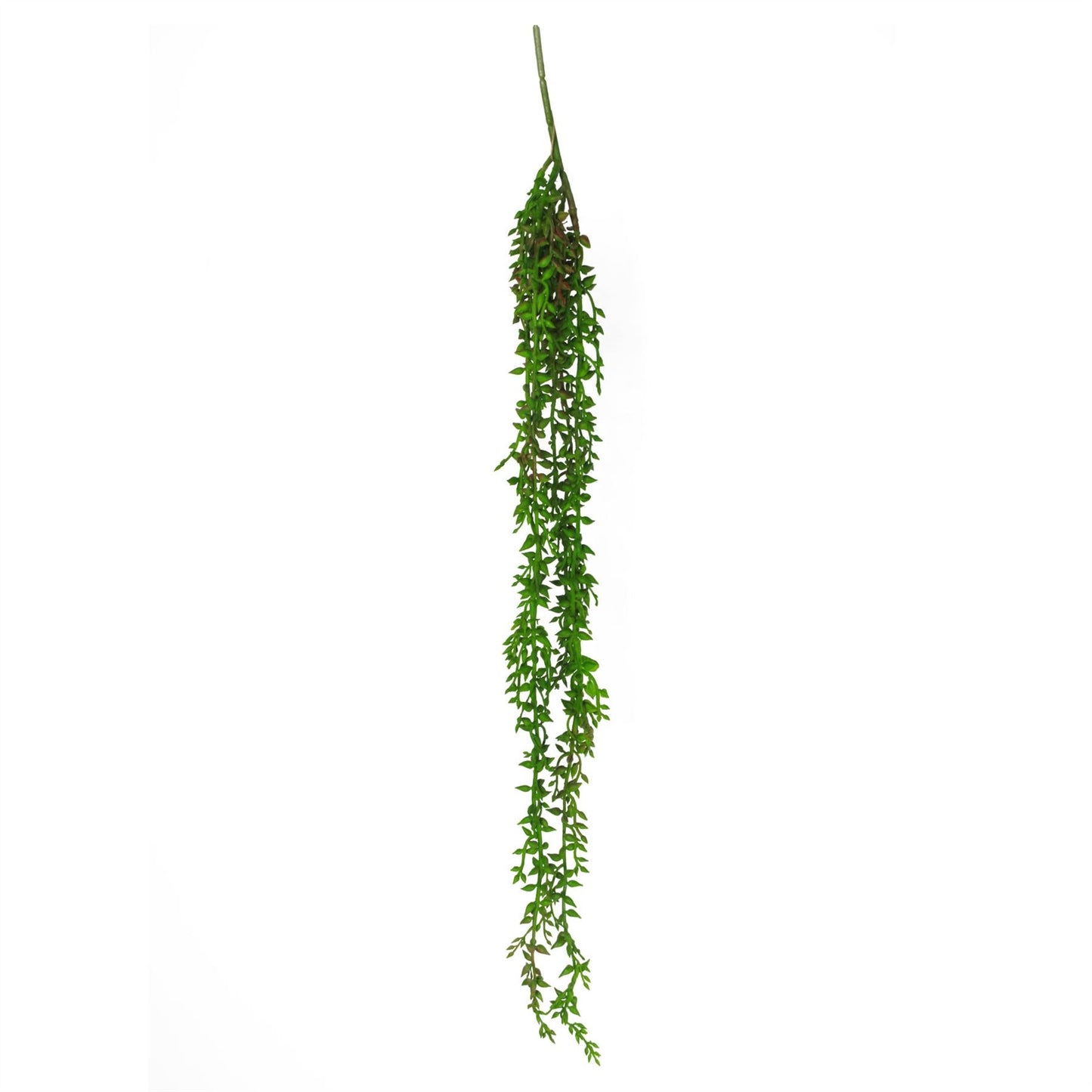 Realistic 6 - Pack Artificial Hanging Climbing Fig Plants - 58cm Ficus Pumila - plants - express.com