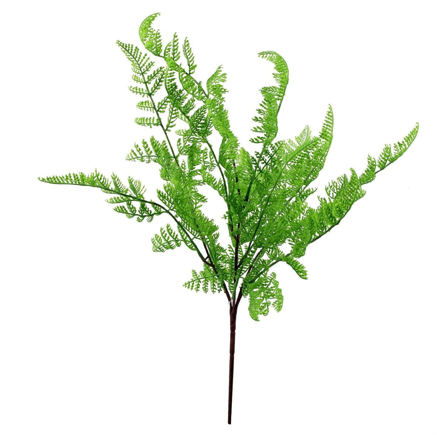Realistic 6 - Pack Southern Wood Fern Bush - Lush Dark Green Décor - plants - express.com