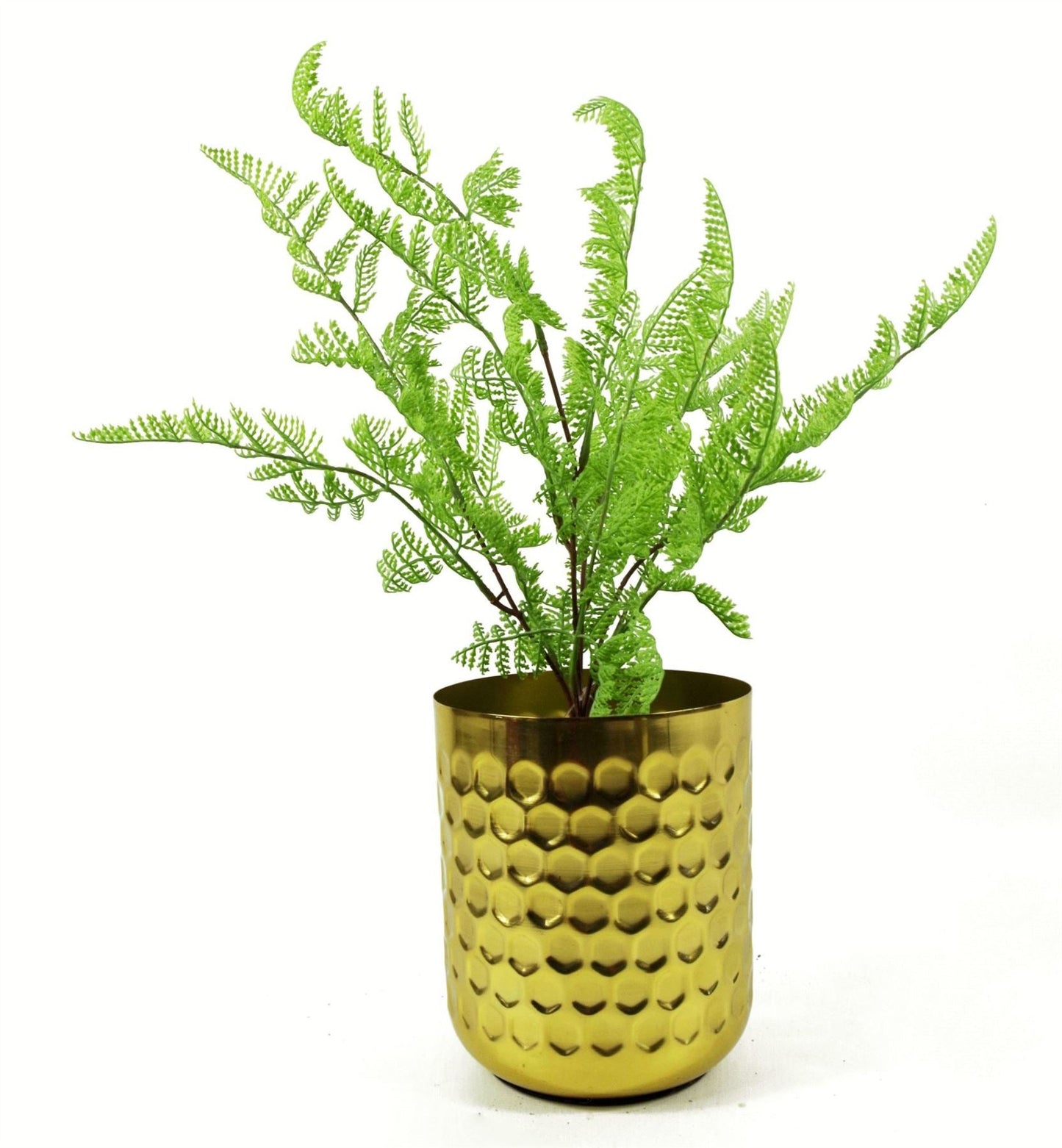 Realistic 6 - Pack Southern Wood Fern Bush - Lush Dark Green Décor - plants - express.com