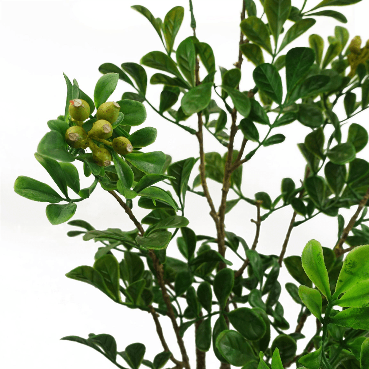 Realistic 60cm Artificial Bonsai Ficus Tree - Elegant Home Decor Accent - plants - express.com