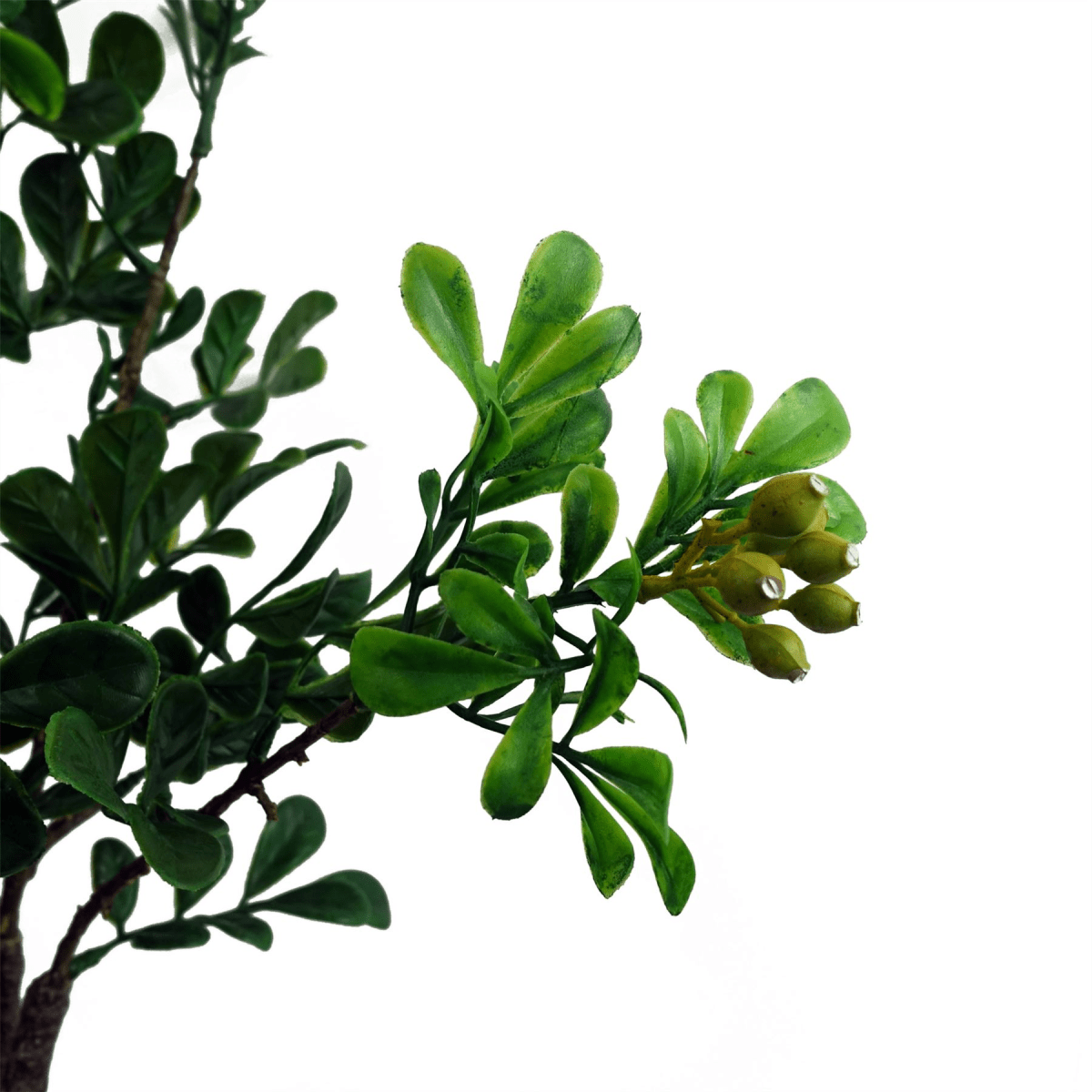 Realistic 60cm Artificial Bonsai Ficus Tree - Elegant Home Decor Accent - plants - express.com