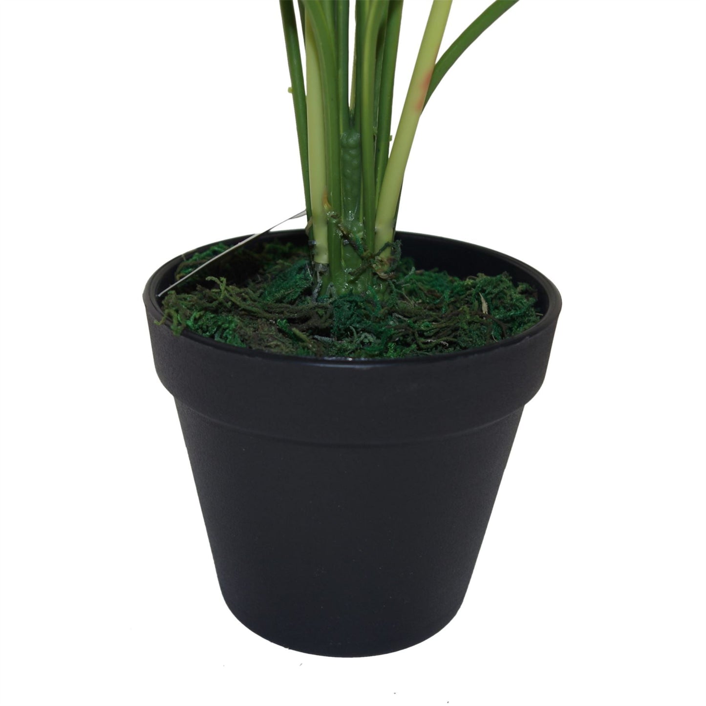 Realistic 60cm Artificial Devil's Ivy Plant – Lush, Variegated & Ready to Display! - plants - express.com
