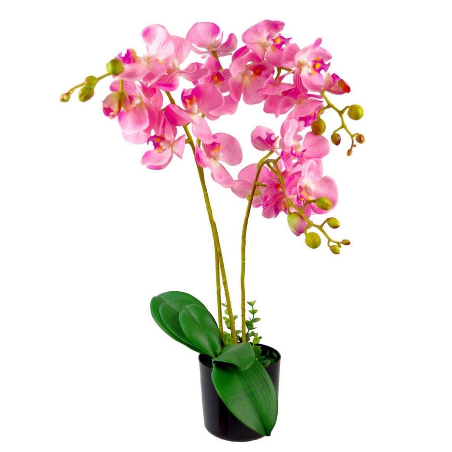 Realistic 60cm Artificial Orchid in Pot - Elegant Leaf Design by Leaf Design UK - plants - express.com
