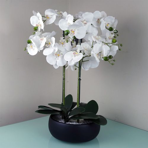 Realistic 60cm White Orchid in Elegant Black Ceramic Planter - Ready to Display! - plants - express.com