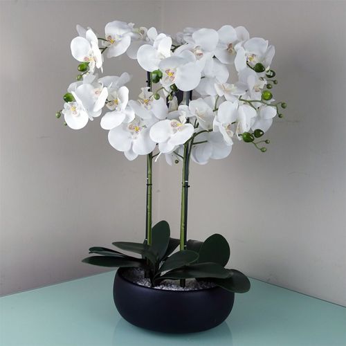 Realistic 60cm White Orchid in Elegant Black Ceramic Planter - Ready to Display! - plants - express.com