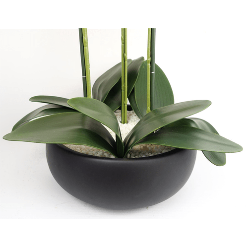 Realistic 60cm White Orchid in Elegant Black Ceramic Planter - Ready to Display! - plants - express.com