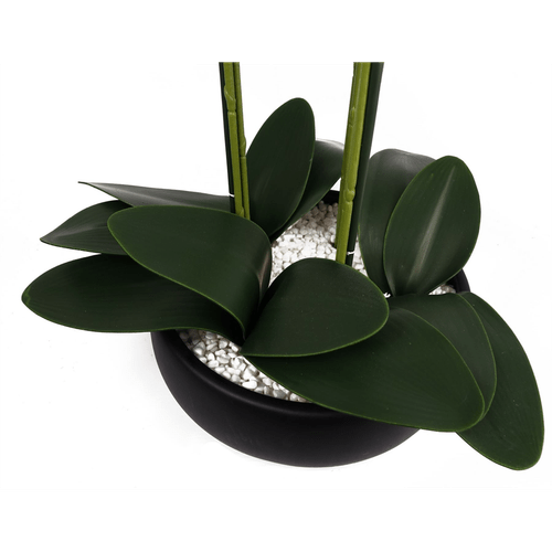 Realistic 60cm White Orchid in Elegant Black Ceramic Planter - Ready to Display! - plants - express.com