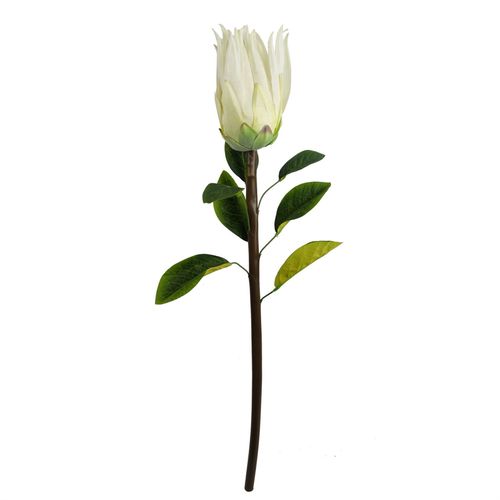Realistic 65cm White Sugarbush Protea Stem - Ultimate Floral Elegance - plants - express.com
