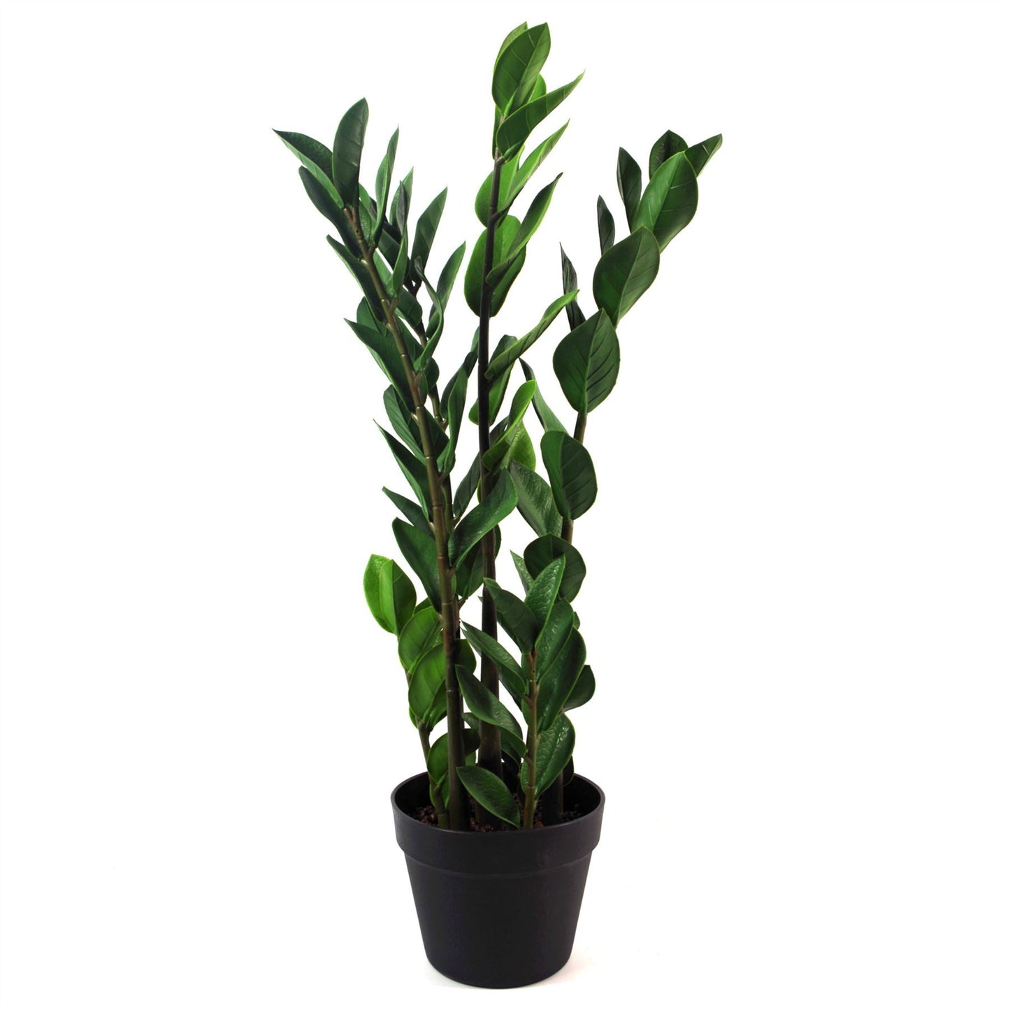 Realistic 75cm Artificial Zanzibar Gem Plant - Perfect No - Maintenance Décor! - plants - express.com