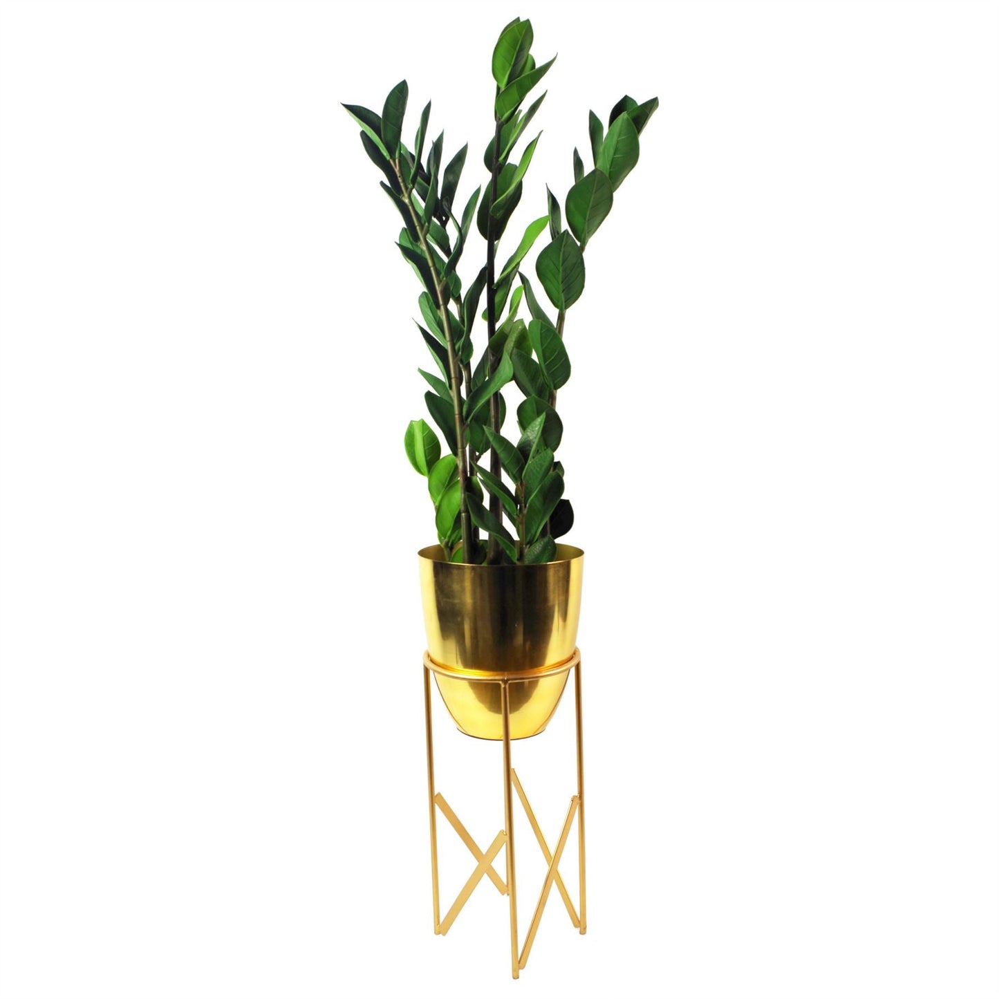 Realistic 75cm Artificial Zanzibar Gem Plant - Perfect No - Maintenance Décor! - plants - express.com