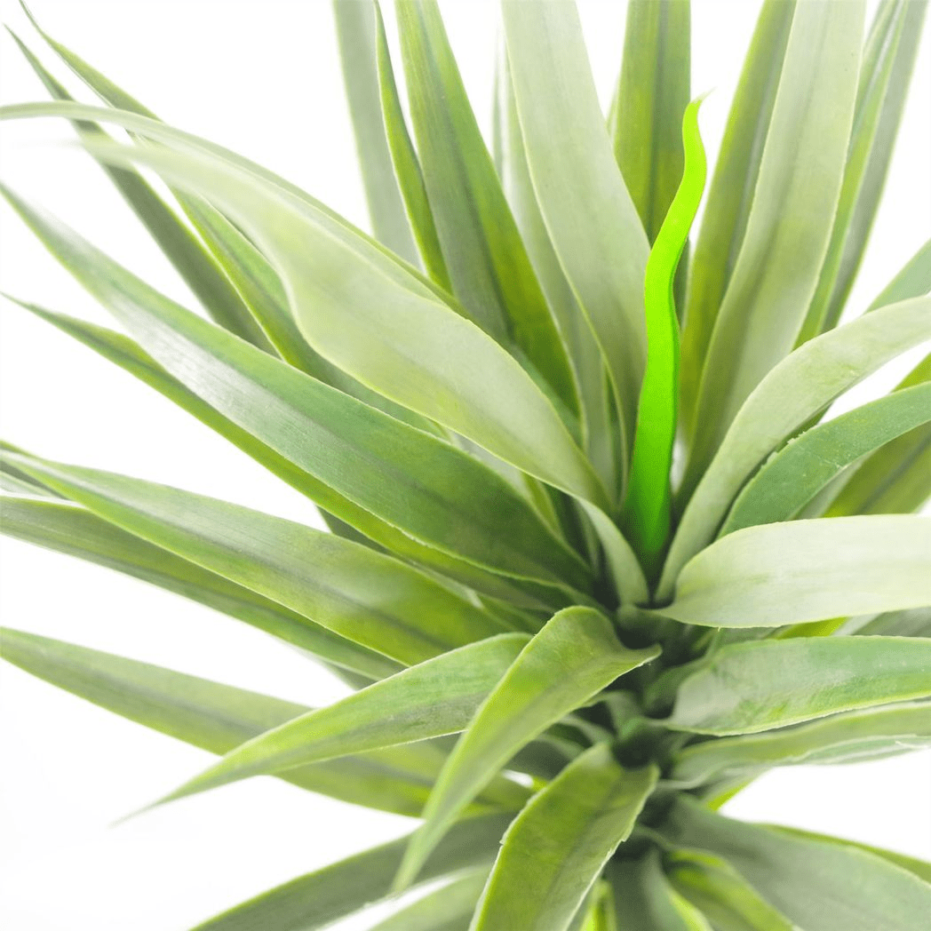 Realistic 90cm Artificial Yukka Plant - Lifelike, Low - Maintenance Greenery - plants - express.com