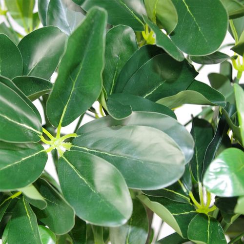 Realistic 95cm Dark Green Artificial Umbrella Tree - Perfect Home Accent! - plants - express.com